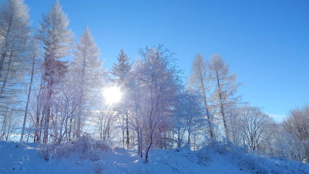 Willa Solina Solina (Podkarpackie) Bagian luar foto